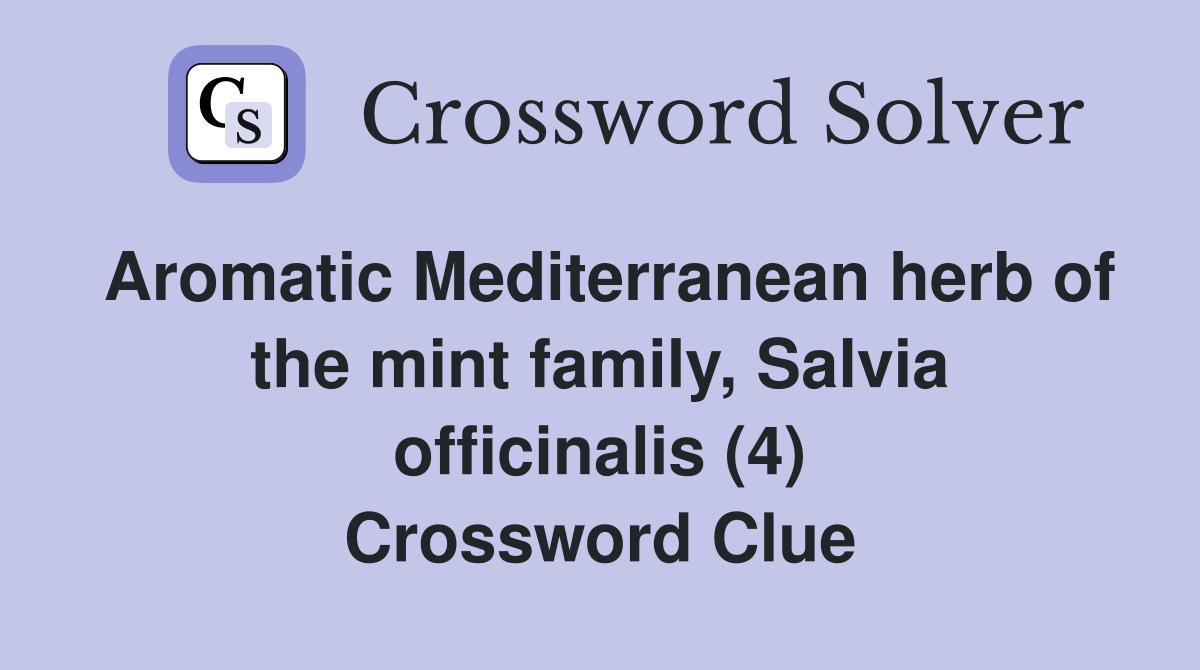 Aromatic Mediterranean herb of the mint family, Salvia officinalis (4